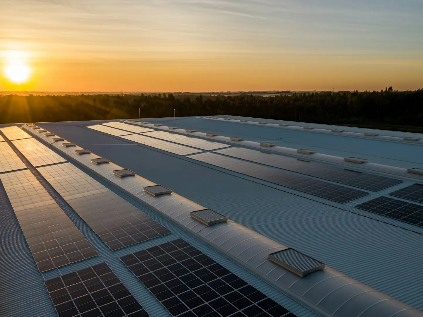 Long warehouse roof with rows of solar panels at sunset